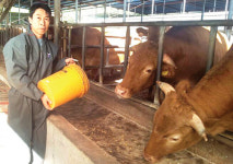 [기획]FTA 시대…축산 비결 대공개(22)한우 비육농가 황태락씨 <경북 영주 일월농장>