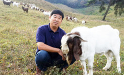 [기획]산지 생태축산 현장을 가다⑶충북 괴산 하늘목장