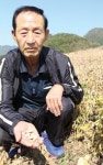 [현장]극심한 가뭄 겪는 충북 단양 잡곡 주산지 가보니
