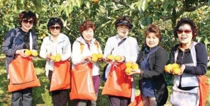 부산여성리더 “농산물 소중함 배웠어요”