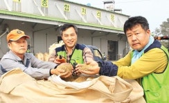 서안성농협 ‘벼 마을별 순번 수매’ 효과