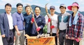 ‘연’ 6차산업화 적극 나서