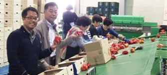 [기획]농협 산지유통 우수현장을 가다⑻·끝 전남 광양시연합사업단