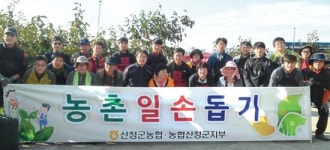 산청군농협·군지부 직원…감농장서 일손 돕기 봉사