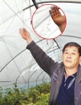 [희망취재]충북 진천 시설농가 불량비닐 피해 호소