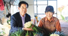 합덕농협, 쪽파 생산·판매 구슬땀