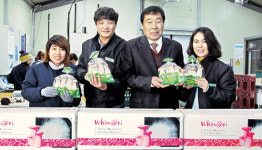 진례농협, 버섯 수출 300만불탑