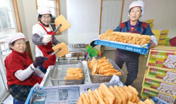 약초한과…“옛맛 그대로”