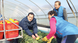 ‘성주참외’ 조수입 5000억 도전