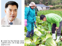 [기획]농협 채소수급안정사업 우수현장을 가다⑺전남 해남 화원농협