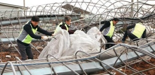 전북농협-정읍지역 농·축협, 폭설피해 포도농가 복구지원