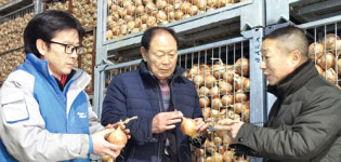 [기획]농협 채소수급안정사업 우수현장을 가다⑾전북 부안 변산농협