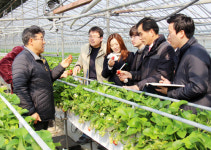 농산물 수출애로 해결사 떴다
