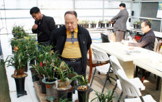 한국춘란, 농산물? 사치품? 논란