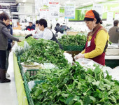 농업회사법인(주)무병장수산나물 | 봄나물 특판전…입맛 유혹