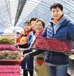 [화제]해양심층수로 대박농사 꿈꾸는 강원 고성 ‘참농원’