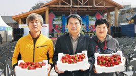 “달콤한 삼례딸기 맛에 반했어요”