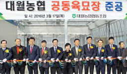 대월농협, 공동육묘장 문열어…못자리 10만상자 생산
