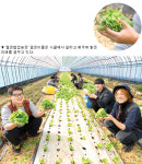 [촌(村), 새 삶을 열다]충남 홍성 ‘젊은협업농장’