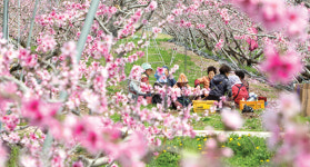 무릉도원이 따로 없네…