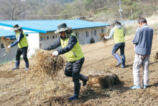 강원농협 경제사업부, 홍천 자매마을서 일손 도와