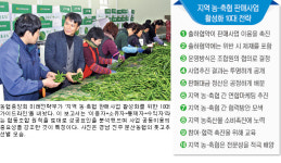 농협 ‘지역 농·축협 판매사업 활성화 10대 전략’ 주요 내용