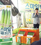 [현장]농우바이오 ‘스마일 백다다기’ 오이 평가회