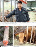 미래축산 현장을 가다⑴경남 창녕 한우농가 백승창씨<민승농장>