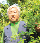 메르스 예방 효과 ‘라군디’ 국내 재배