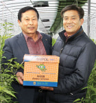 청도농협, 수정용 ‘아리벌’ 공급