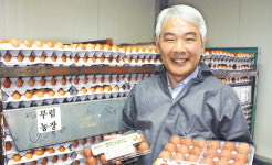 [대한민국 대표농가]⑴산란계농가 김태용씨<경남 의령 부림농장>