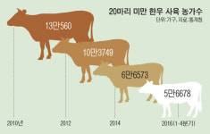 한우 번식농가수 ‘뚝’…수급불안 ‘어찌 하누’