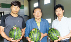 고당도 ‘고창황토골수박’ 인기