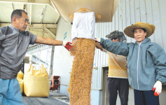 알토란 ‘잡곡사업’…농가 소득증대 효자