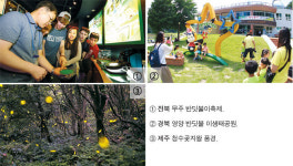 반딧불이 만나러 ‘무주’ ‘영양’ ‘제주’로 떠나볼까