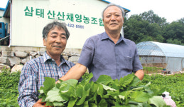 ‘단양 곤드레’ 판로개척 온힘