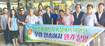 ‘축산농가 경쟁력 확보’ 우량송아지 원가 분양