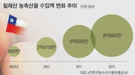 칠레산 과일 더 몰려오나