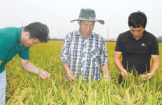 쌀 이대론 안된다⑶사후정산제 도입 검토 필요