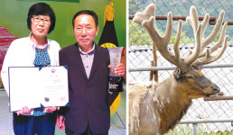 [잠깐]‘우수사슴선발대회’ 대상 받은 이연배씨<전남 장성>