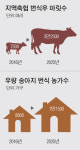 농협, 한우산업기반 강화한다