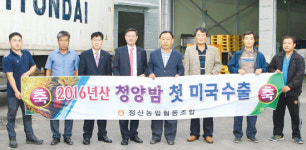 ‘청양밤’ 수출 활발…농가소득 증대 효자