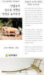 “강원도 산골농부 농기구 보러오세요”