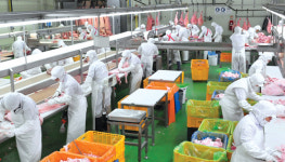 칠곡양돈영농조합법인 육가공장 | 양돈농가 - 육가공업체, 돼지값 지급률 갈등