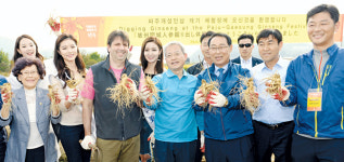 파주개성인삼축제, 인삼 58억 판매고