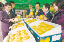 “남양주 먹골배 아주 맛있어요”