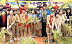 전남농협·광양제철초교 스쿨팜서 벼수확체험 행사