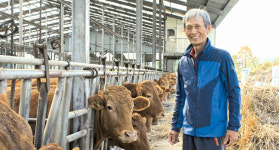 [기획]한우, 가격의 역습⑸·끝 현장에 답이 있다 - 일관사육농가 정규연씨<경기 가평>