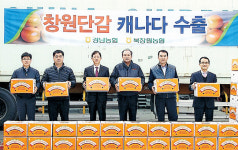 경남농협, 단감수출 ‘가속도’