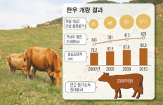 가축 개량, 어제·오늘, 그리고 내일⑴한우:충남 서산 농협 한우개량사업소